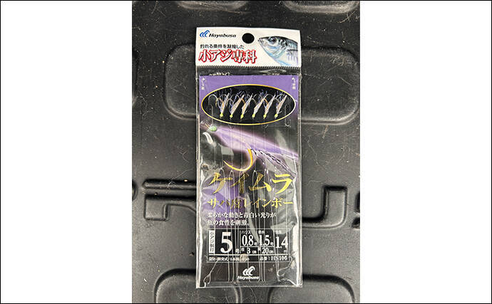 ヤエン釣りで1日中アオリイカがアタリっぱなし！【福井】水中はまだまだシーズン盛期？