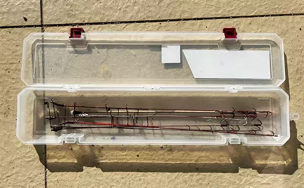 「ヤエン釣りで1日中アオリイカがアタリっぱなし！【福井】水中はまだまだシーズン盛期？」の画像