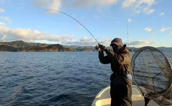 「「風が吹けばチャンス到来！」レンタルボートのティップランでアオリイカ好反応【三重】」の画像