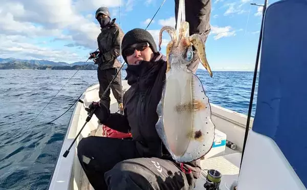 「「風が吹けばチャンス到来！」レンタルボートのティップランでアオリイカ好反応【三重】」の画像