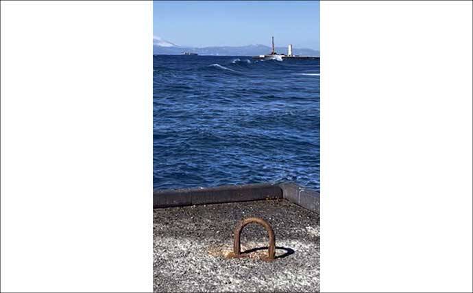 伊豆大島のメジナ釣りで39cm良型手中　サイズアップ連発の好展開