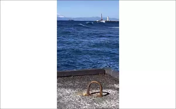 「伊豆大島のメジナ釣りで39cm良型手中　サイズアップ連発の好展開」の画像