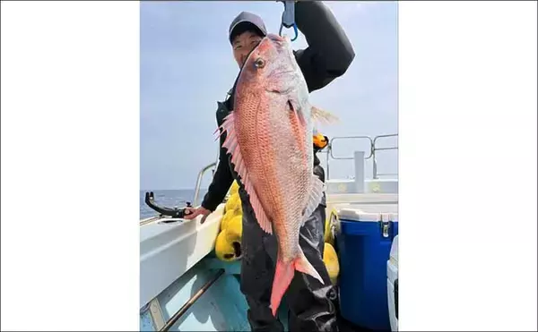 「玄界灘で良型マダイが続々ヒット中！【タイラバ釣果速報6選・福岡】」の画像