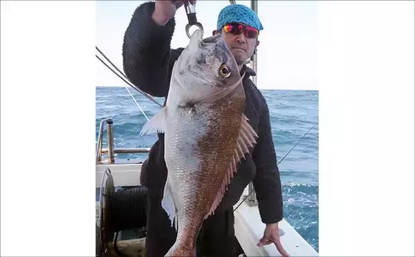 「玄界灘で良型マダイが続々ヒット中！【タイラバ釣果速報6選・福岡】」の画像