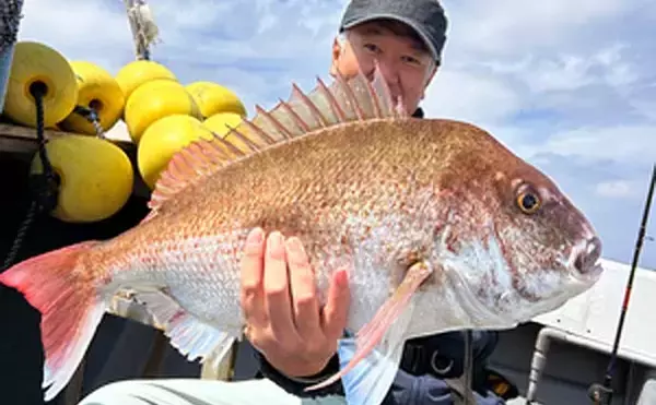 「玄界灘で良型マダイが続々ヒット中！【タイラバ釣果速報6選・福岡】」の画像