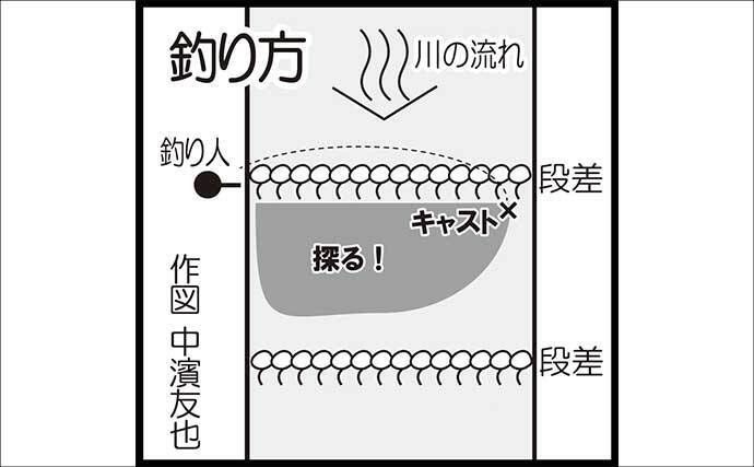 日野川での渓流ルアー釣りで25cm良型ヤマメをキャッチ！【鳥取】ミノーにヒット