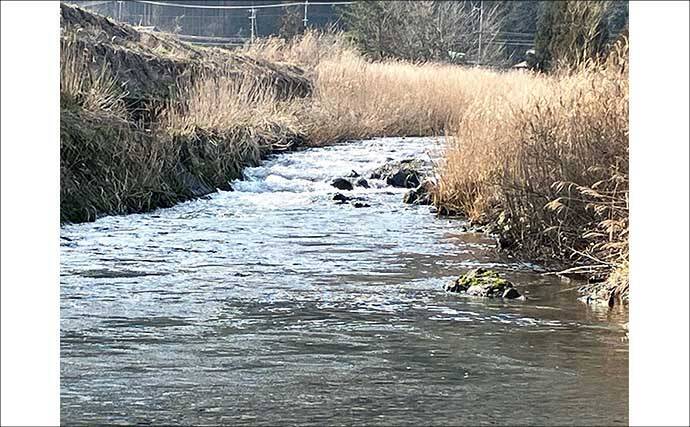日野川での渓流ルアー釣りで25cm良型ヤマメをキャッチ！【鳥取】ミノーにヒット