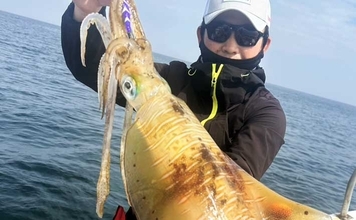 沖のエギングで大型アオリイカが続々ヒット！【オフショアルアー釣果速報7選・三重】