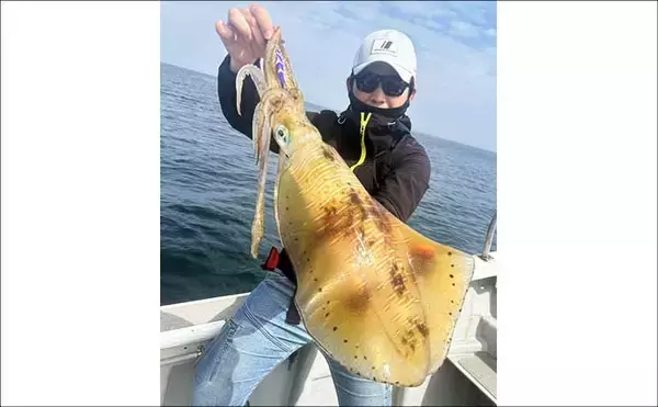 「沖のエギングで大型アオリイカが続々ヒット！【オフショアルアー釣果速報7選・三重】」の画像
