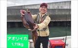 「沖のエギングで大型アオリイカが続々ヒット！【オフショアルアー釣果速報7選・三重】」の画像6