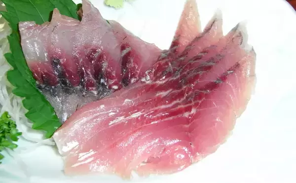 「食用フナの放流が実施される　淡水魚フナを美味しくするのは「海水」？」の画像