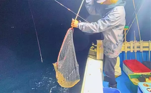 「船での泳がせヒラメ釣りで3.7kg頭に良型2枚手中【新潟・海龍丸】大判は無念のバラシ」の画像