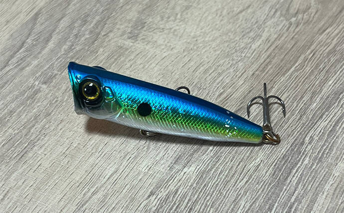 「ボロボロのルアーは捨てちゃダメ！」 使用済みルアーの再利用法4選を紹介