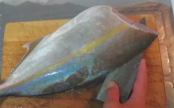 「釣った魚で作る「うまさ倍増」レシピ：ネリゴのネズ和え　マヨネーズで味変を」の画像