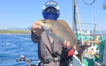 42cmジャンボイサギ登場！【良丸・那智勝浦】天びんカゴフカセ釣りで旬のイサギ連発