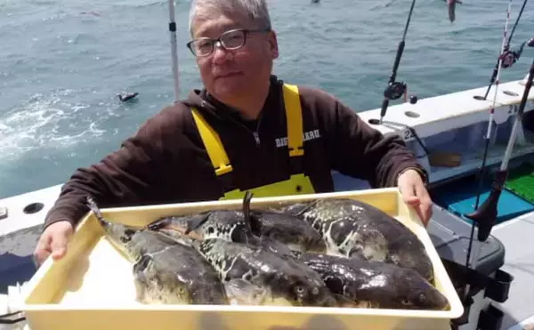「42cm頭に良型イサキ釣る人32匹！大山沖イサキ釣り加速中【船釣り最新情報10選・愛知】」の画像