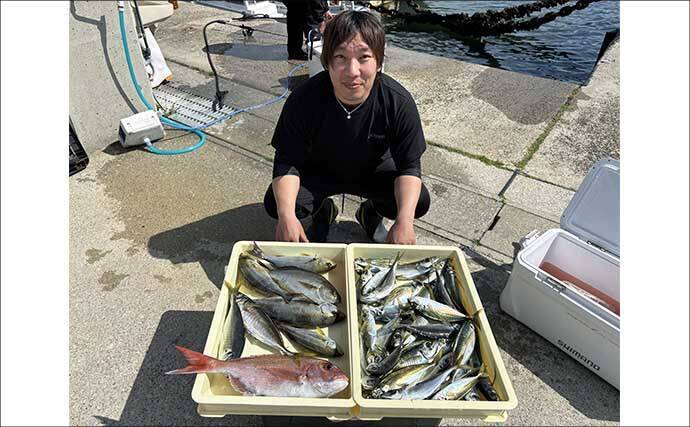 42cm頭に良型イサキ釣る人32匹！大山沖イサキ釣り加速中【船釣り最新情報10選・愛知】