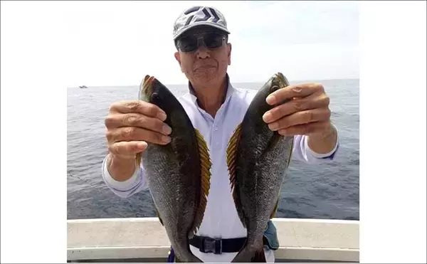 「42cm頭に良型イサキ釣る人32匹！大山沖イサキ釣り加速中【船釣り最新情報10選・愛知】」の画像