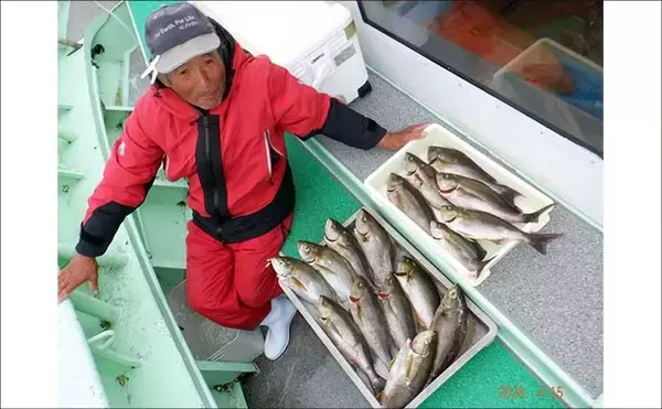 「42cm頭に良型イサキ釣る人32匹！大山沖イサキ釣り加速中【船釣り最新情報10選・愛知】」の画像