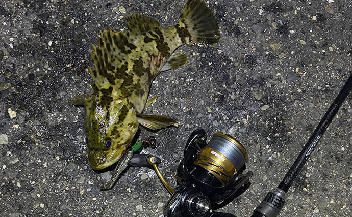 小場所のシーバスゲーム入門解説 【タックル・釣れる魚・釣り方のコツ】