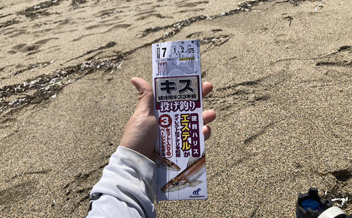 三重の投げキス釣果速報レポート：磯津漁港で13cm級中心にシロギス8匹