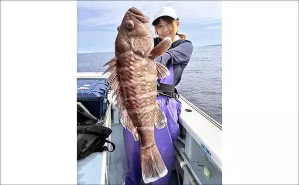 「洲崎沖で高級魚「マハタ」を狙う根魚五目釣り　本命＆多彩なゲストと対面成功！【萬栄丸・千葉】」の画像