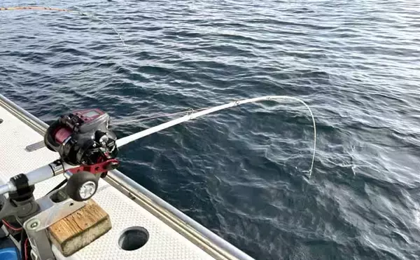 「洲崎沖で高級魚「マハタ」を狙う根魚五目釣り　本命＆多彩なゲストと対面成功！【萬栄丸・千葉】」の画像