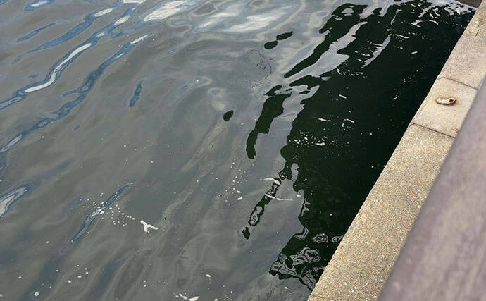 「釣りに遠投は不要」 岸壁際50cm以内の【キワ撃ち】だけでも釣りは成立する！