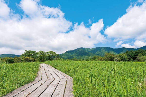 箱根 で 夏の小旅行 おすすめ絶景 グルメスポット 夏の花 日帰り温泉 スイーツ 21年6月25日 エキサイトニュース