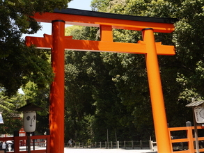 京都の強力な“運気上昇・縁結びスポット"上賀茂神社と下鴨神社の大遷宮に注目!