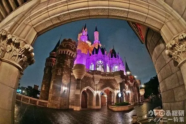 パークを一望 ロマンチックな夜景 私の好きな東京ディズニーリゾート の風景 年9月19日 エキサイトニュース