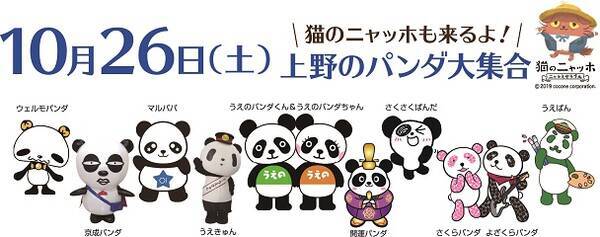 パンダ好き歓喜 ハロウィンの上野に 人気パンダキャラクター 大集合 19年10月22日 エキサイトニュース