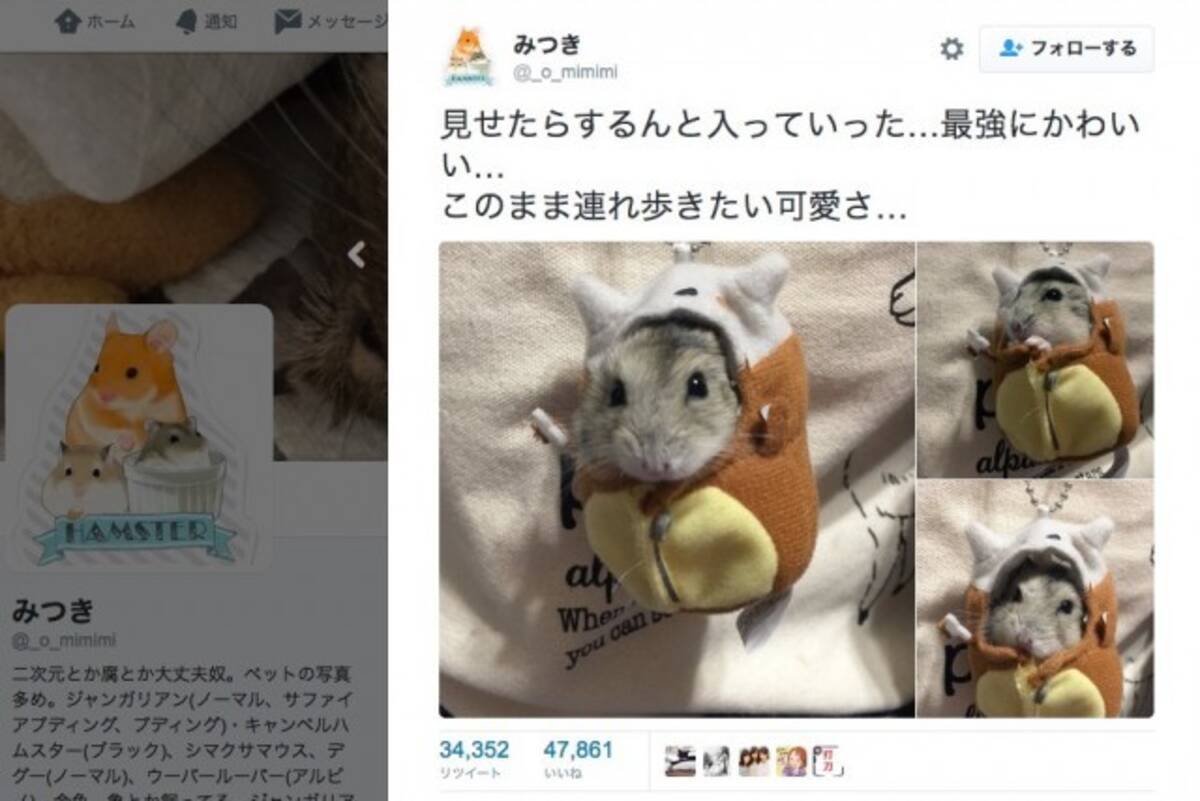 ピカチュウかと思った 残念 ハムちゃんでした ポケモン カラカラの着ぐるみに入り込んだハムスターが超絶かわいい 16年11月10日 エキサイトニュース