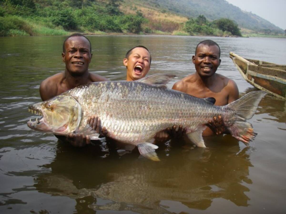 怪魚 キリン ライオンまで食ってきた 自然写真家 怪魚ハンターが語リ尽くした冒険 珍 エピソード集 17年6月29日 エキサイトニュース