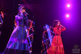 「AKB48ツアー選抜が関東初ライブ！ファン投票で岡田奈々がセンターに」の画像3