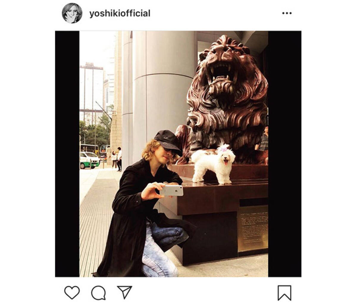 X Japan Yoshikiが愛犬メロディーとのプライベートショット公開 リラックスしてるyoshikiさんが見れて幸せ 19年11月8日 エキサイトニュース