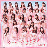 「NGT48、新曲『シャーベットピンク』ジャケット解禁！カップリング曲のタイトルも明らかに」の画像2