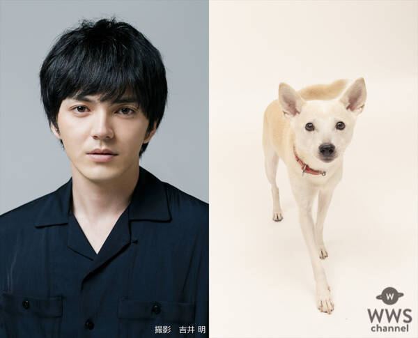 林遣都と中川大志が共演 映画 犬部 21年に公開 年8月14日 エキサイトニュース