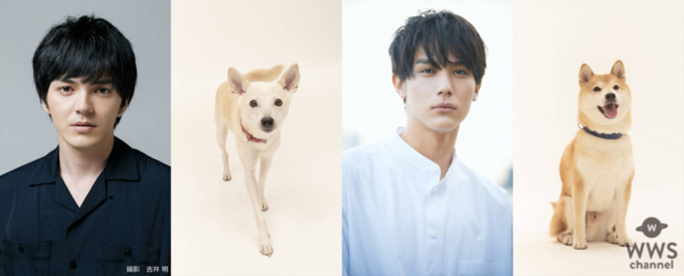 林遣都と中川大志が共演 映画 犬部 21年に公開 年8月14日 エキサイトニュース