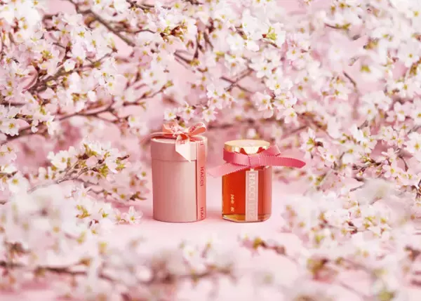 ≪HACCI≫桜の開花時期にしか採蜜できない稀少な桜のはちみつ『テーブルハニー 国産 桜』を数量限定発売