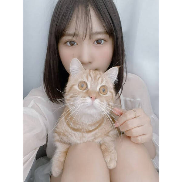 そよんが愛猫きなこと癒しオーラ抜群のツーショットを公開 最強コンビじゃん 21年4月6日 エキサイトニュース