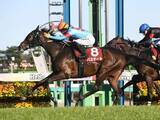 「【競馬予想】皐月賞は「中山・芝2000ｍ」での種牡馬の勝率に注目　名馬と血統構成が似た１頭もチャンス十分」の画像1