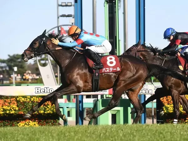 【競馬予想】皐月賞は「中山・芝2000ｍ」での種牡馬の勝率に注目　名馬と血統構成が似た１頭もチャンス十分