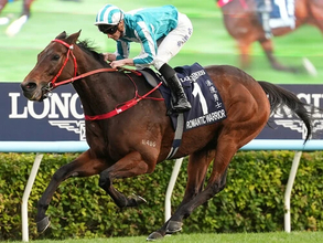 【競馬予想】香港の総大将と日本のホープが激突するクイーンエリザベスⅡ世カップは伏兵の台頭にも要注意