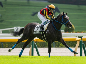 【競馬予想】オークスを勝つのは桜花賞組か、別路線組か？　ガラッと一変した「３歳牝馬ランキング」