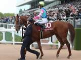 「【競馬予想】タフな馬場が想定される安田記念　総合力あるパンジャタワーが有力も、馬力ある伏兵の大駆けにも要注意」の画像1