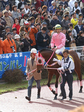 『ウマ娘』でも連戦連敗...　ハルウララは負け続けることによって全国区の人気を誇った世界的にも稀な存在