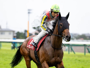 【競馬予想】天皇賞・秋は「２強」断然ムードでも波乱の余地あり　穴党記者が密かに狙う伏兵２頭
