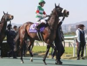 【競馬予想】フェブラリーＳは人気のダブルハートボンドが有力　同馬との組み合わせでも好配当が見込める穴馬２頭