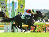 「【競馬予想】安田記念で絶対に外せない「東京・芝1600ｍ」に強い血 本命・対抗も同じ牝系の馬を狙う」の画像1